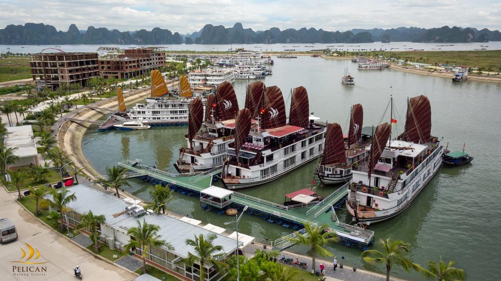 Pelican Classic Cruise ها لونغ المظهر الخارجي الصورة
